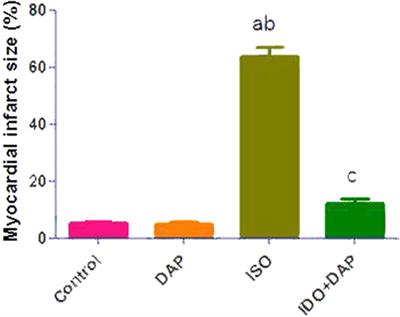 Dapsone Ameliorates Isoproterenol-Induced Myocardial Infarction via Nrf2/ HO-1; TLR4/ TNF-α Signaling Pathways and the Suppression of Oxidative Stress, Inflammation, and Apoptosis in Rats